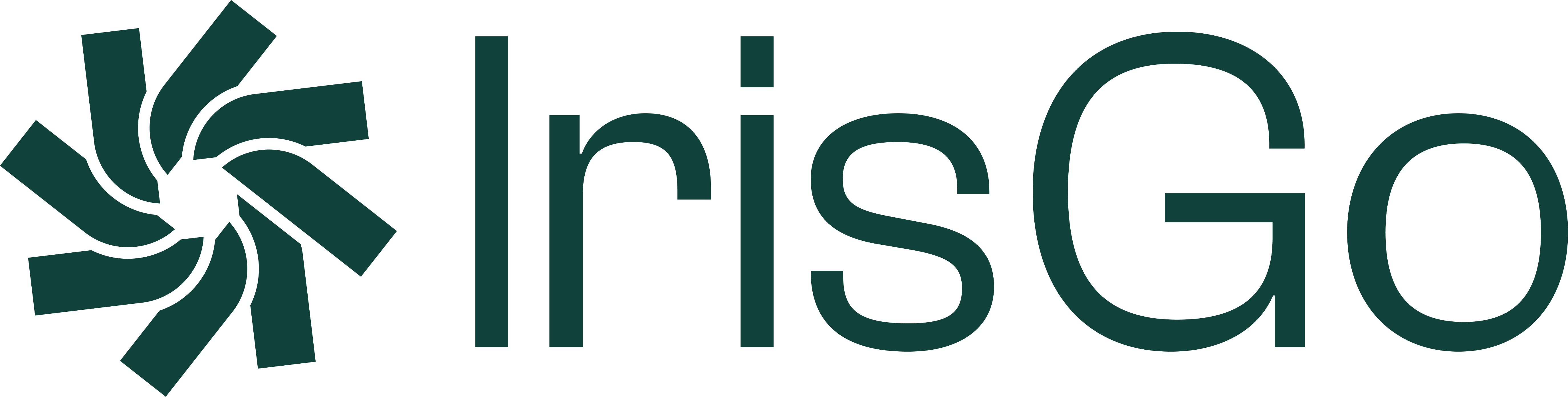 IrisGo
